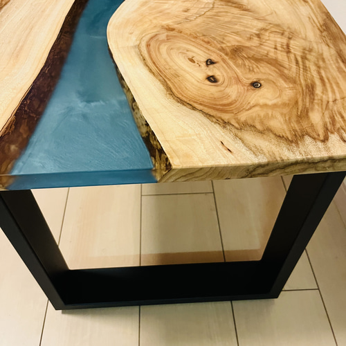 カイヅカイブキ×黒レジン/レジンテーブル/サイドテーブル 一点物