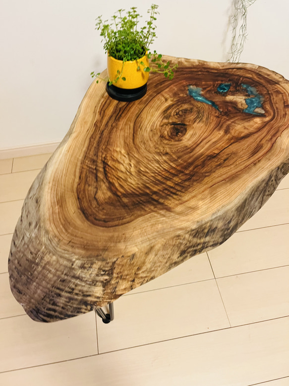 杉の輪切りのレジンテーブルローテーブル
