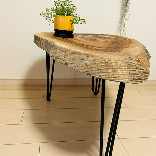 クス 輪切りテーブル ローテーブル 一枚板テーブル レジンテーブル