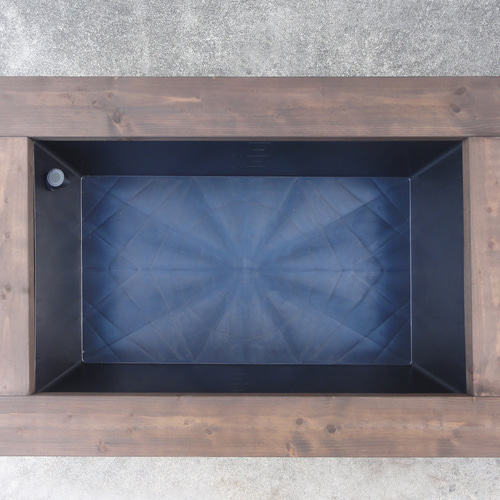 ビオトープ 60L トロ舟＆木枠セット（フラットタイプ防鳥網付き