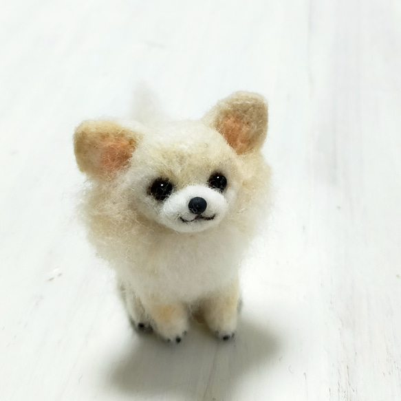 羊毛フェルト チワワ クリーム 手のひらちょこんサイズ 一点物 羊毛