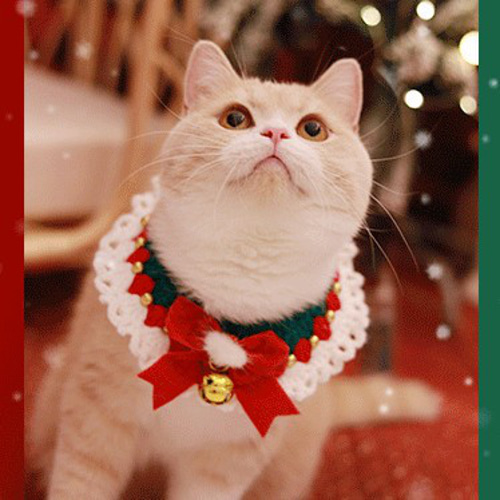 EMY's Gallery 猫襟 ワンちゃん襟 首輪 カギ編み 犬襟 つけ襟