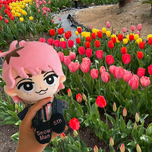 Man すのチル アイドルキャラクター ぬいぐるみ 6体セット SnowMan す