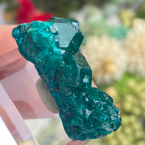 トップグレード♢ダイオプテーズ 鉱物標本 原石 10 天然石 天然色