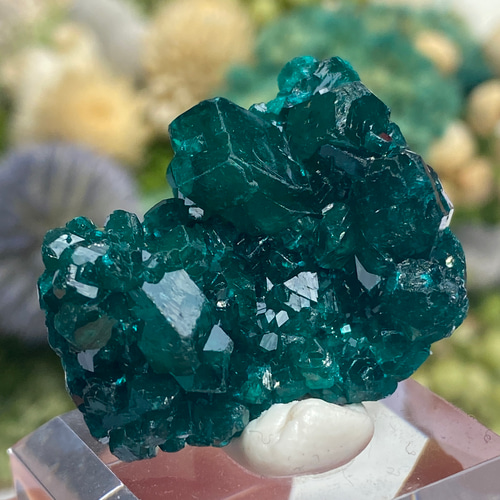 トップグレード♢ダイオプテーズ 鉱物標本 原石 10 天然石 天然色