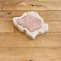 Pet Table Hinoki 】 No.1286 おもちゃ・ペット小物 Wood Factory