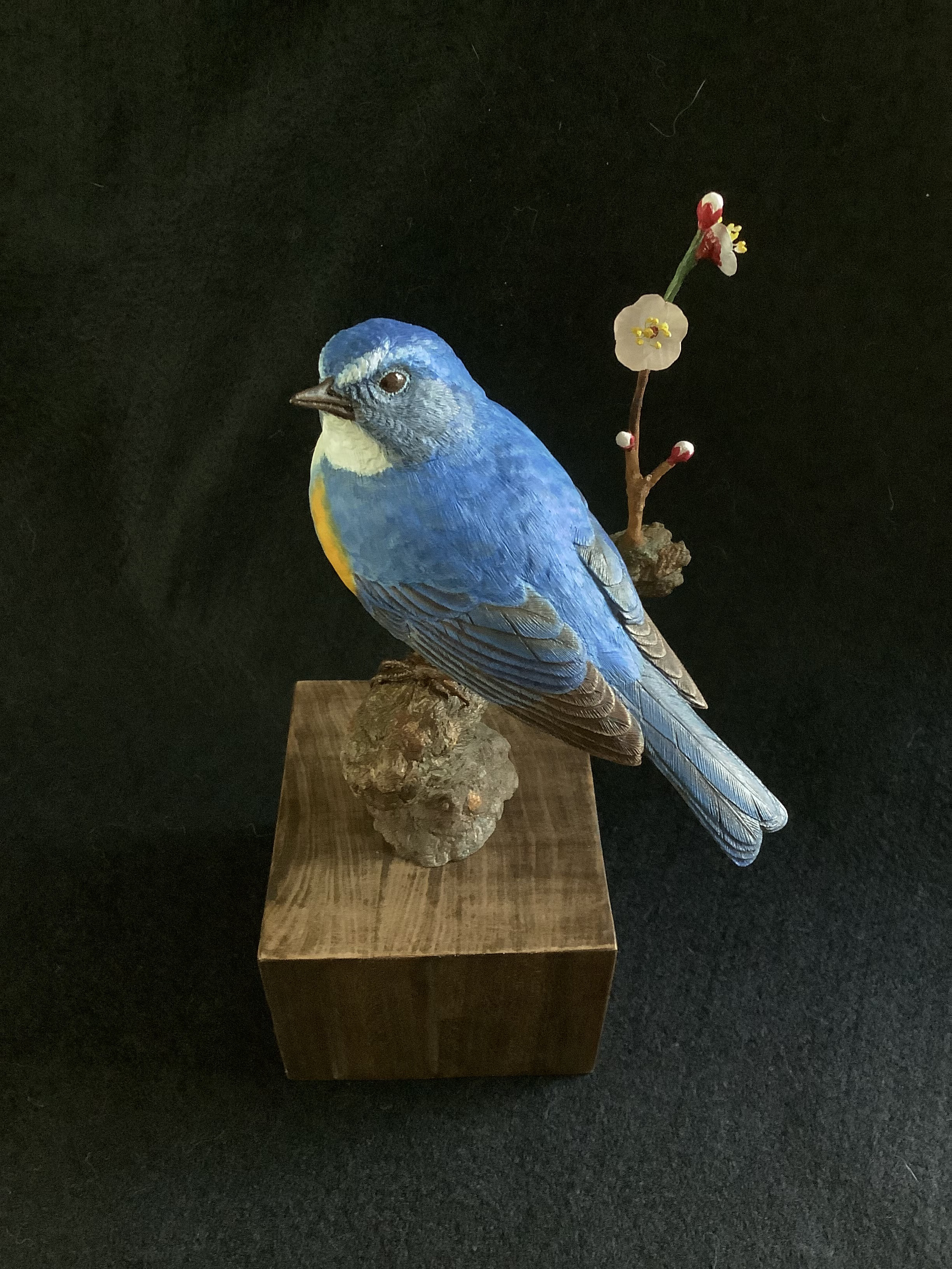 オオルリ：幸せの青い鳥｜野鳥写真図鑑｜キヤノンバードブランチ