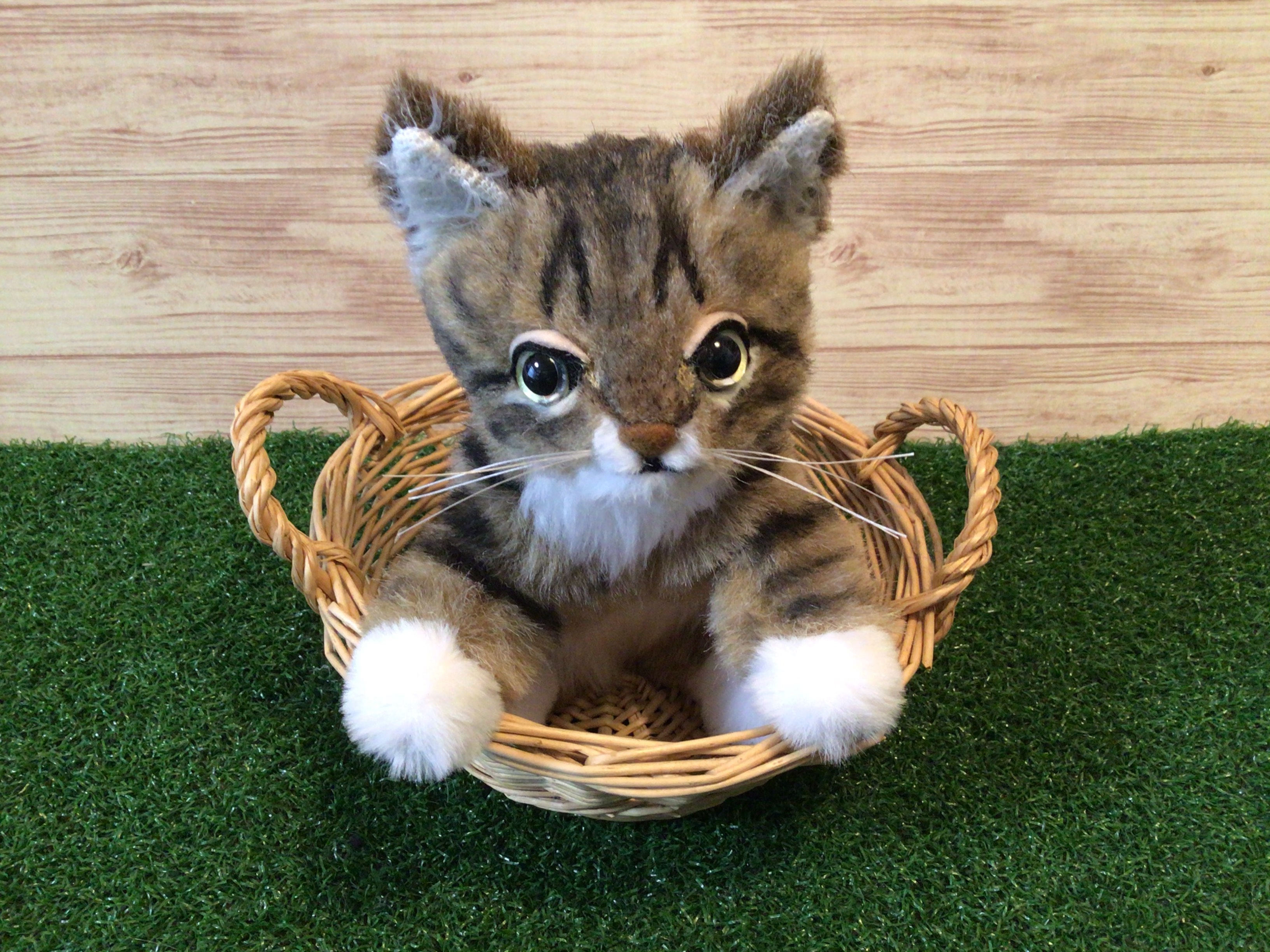 まなあきちゃん❤オーダー❤ウンピョウベビー♡アートドール