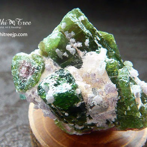 送料無料】ウォーターメロントルマリン原石 天然石 ほしのかけら 通販