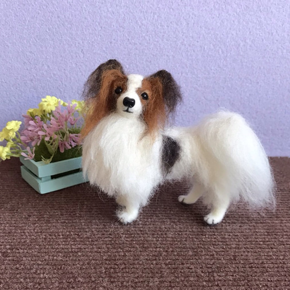 パピヨン☆羊毛フェルト人形☆【再販/受注制作】 羊毛フェルト ginko