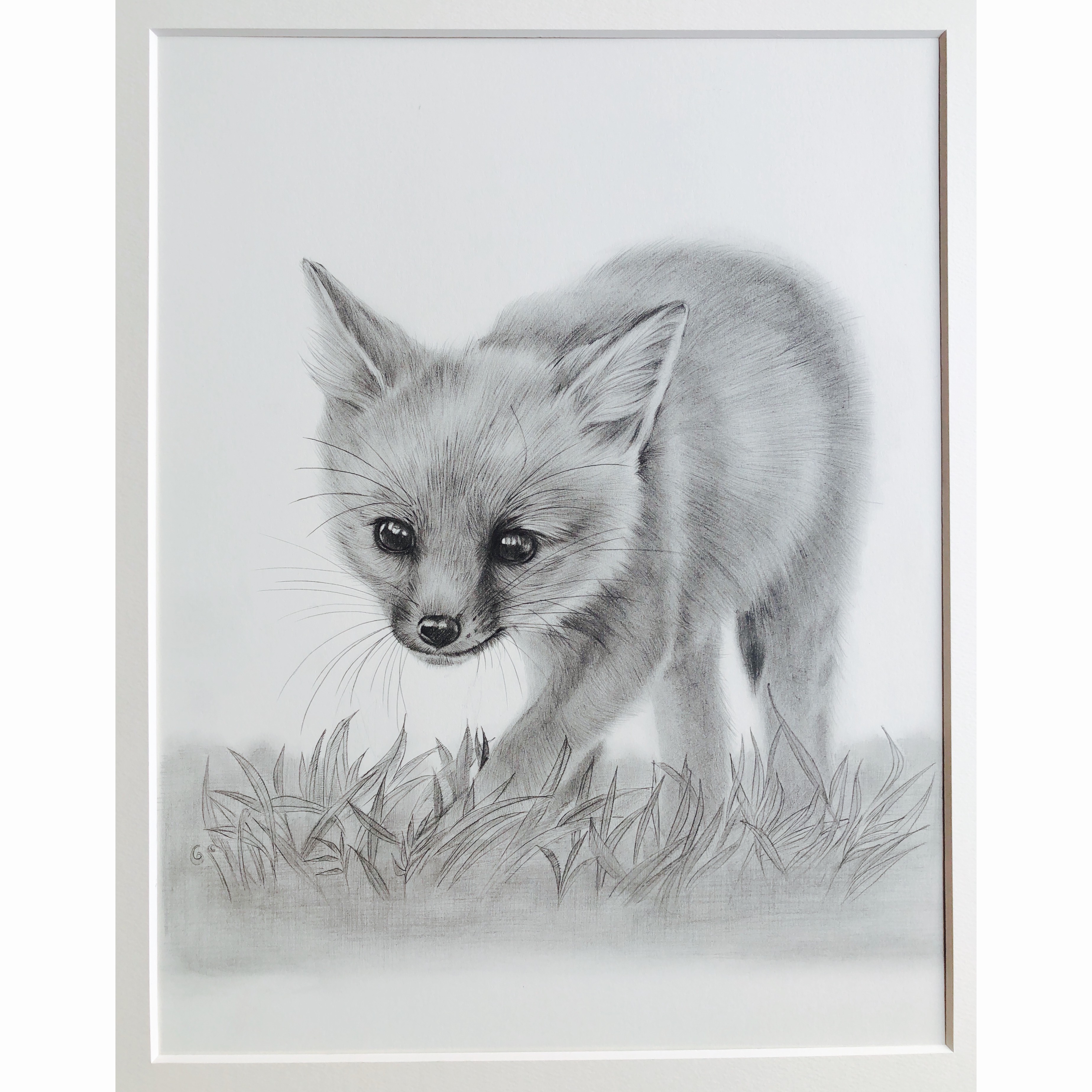 新発売】 狐の鉛筆画 （星を狩るキツネ」墨と顔彩2024 今年10月に京都