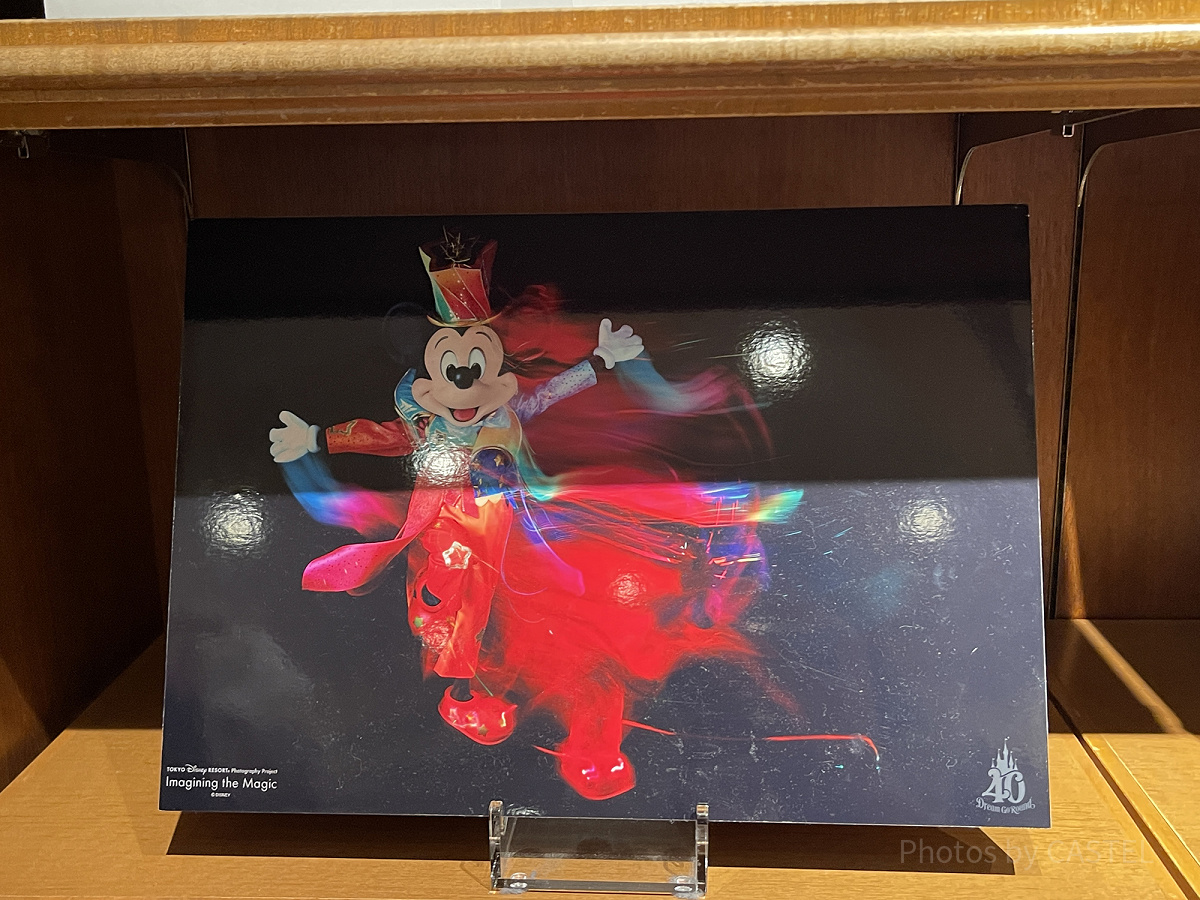 レア ディズニー イマジニングザマジック アート パネル 魚眼レンズ