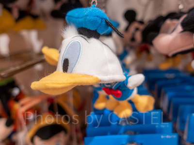 ゆ*ゃ様 4点セット ドナルド ぬいぐるみバッジ（2点） キーチェーン