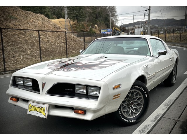 トランザム エーデルブロックインテークイーグルマスク、ビッグマスク