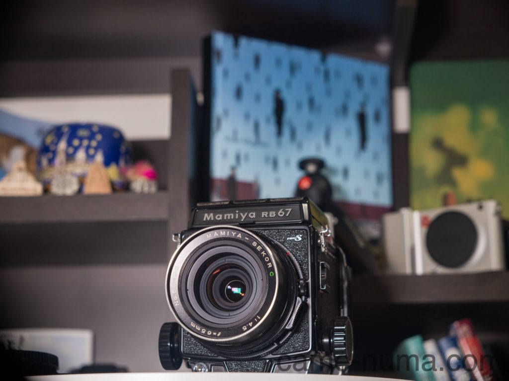 中判カメラ「RB67」で撮る東北の紅葉 | カメヌマ