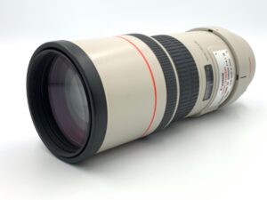 EF300mm F4L IS USMの魅力と実力 小型望遠レンズで広がる撮影スタイル