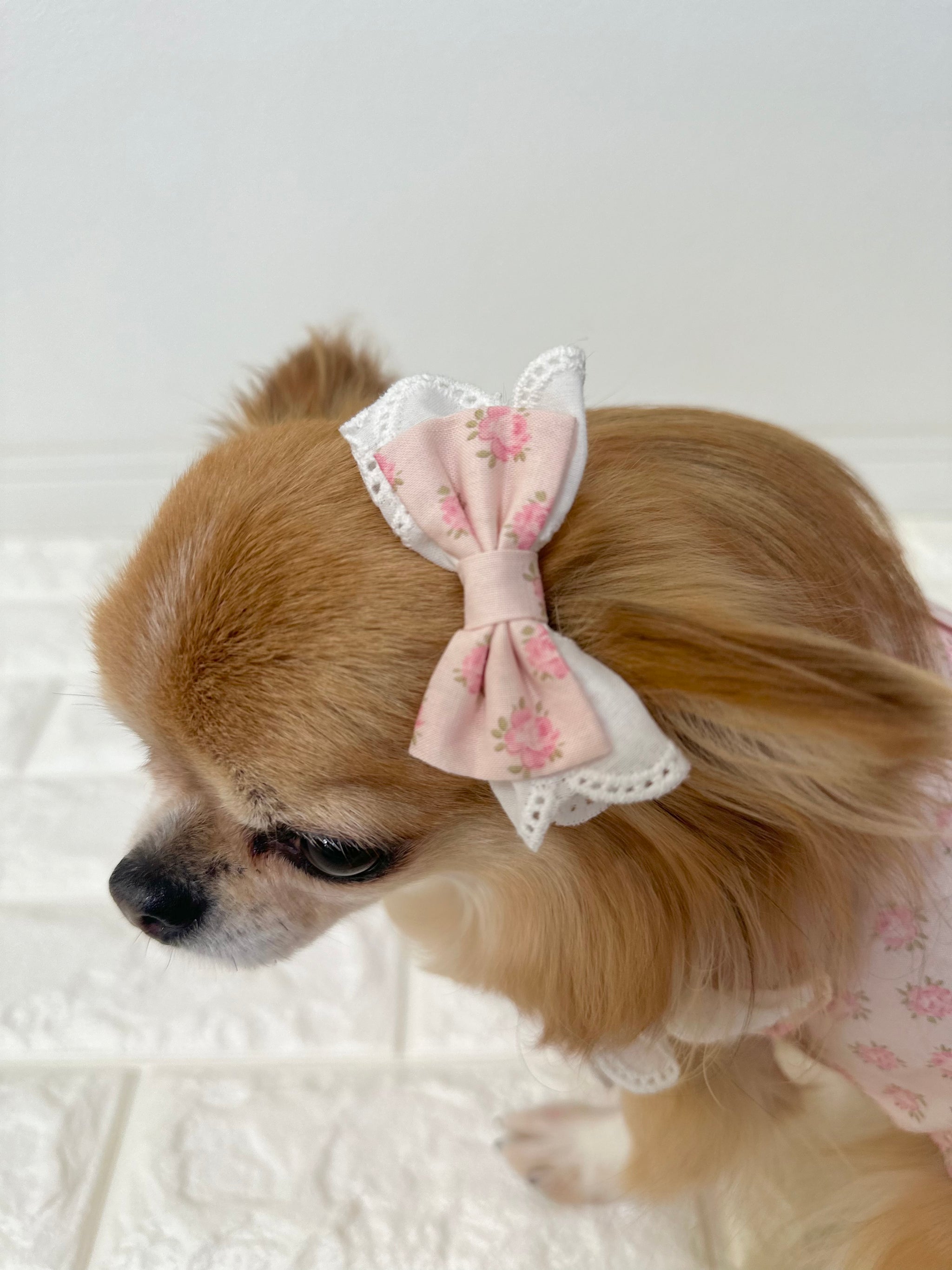 商品一覧 – Candy Buppie Online