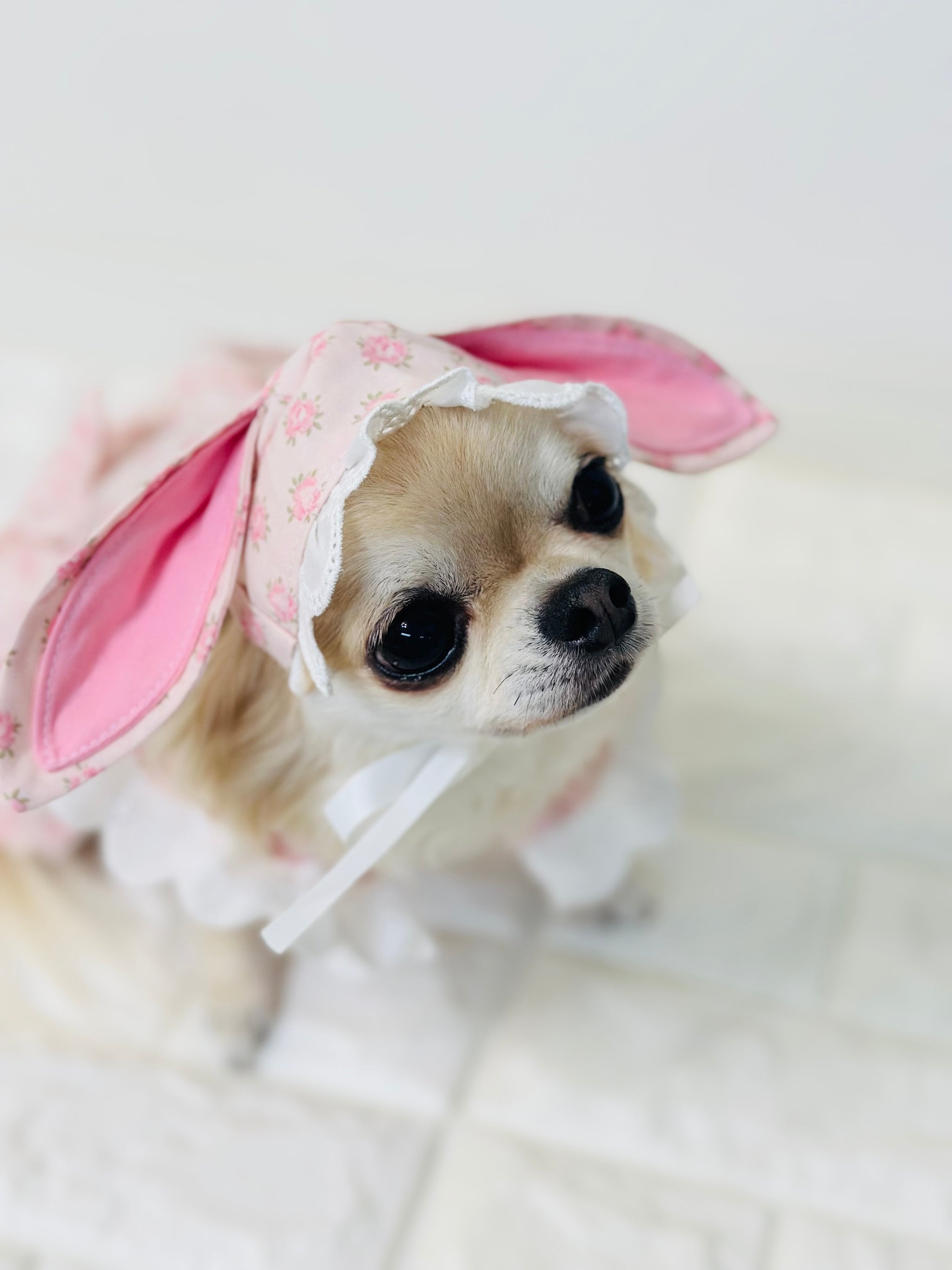 商品一覧 – Candy Buppie Online