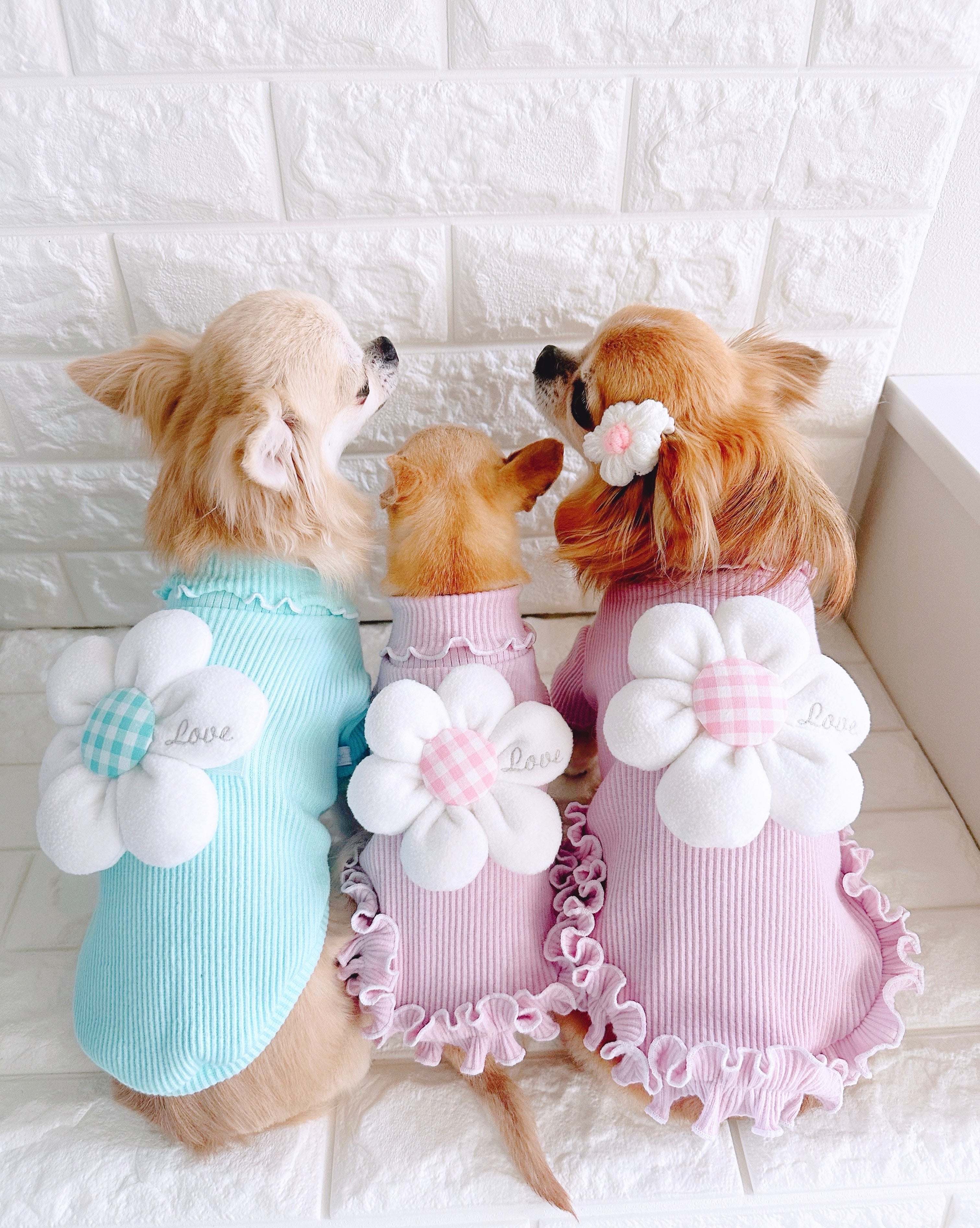 Fashion-Dollワンピ – Candy Buppie Online