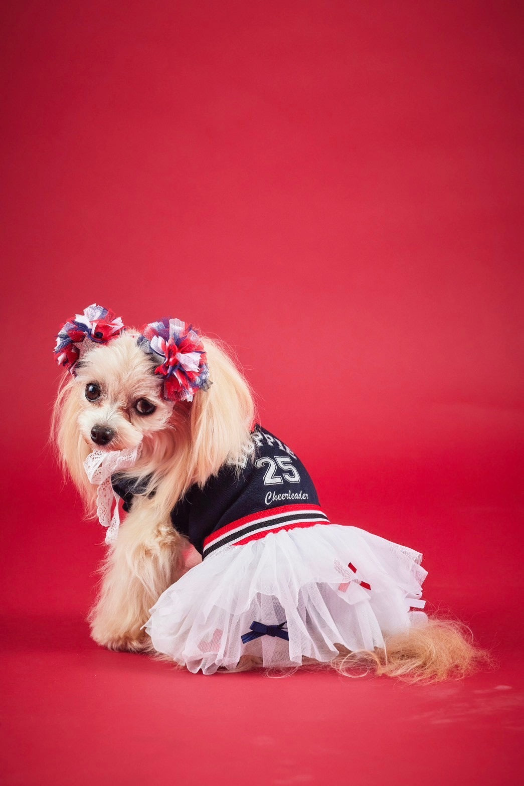 Cheerヘッドアクセ – Candy Buppie Online