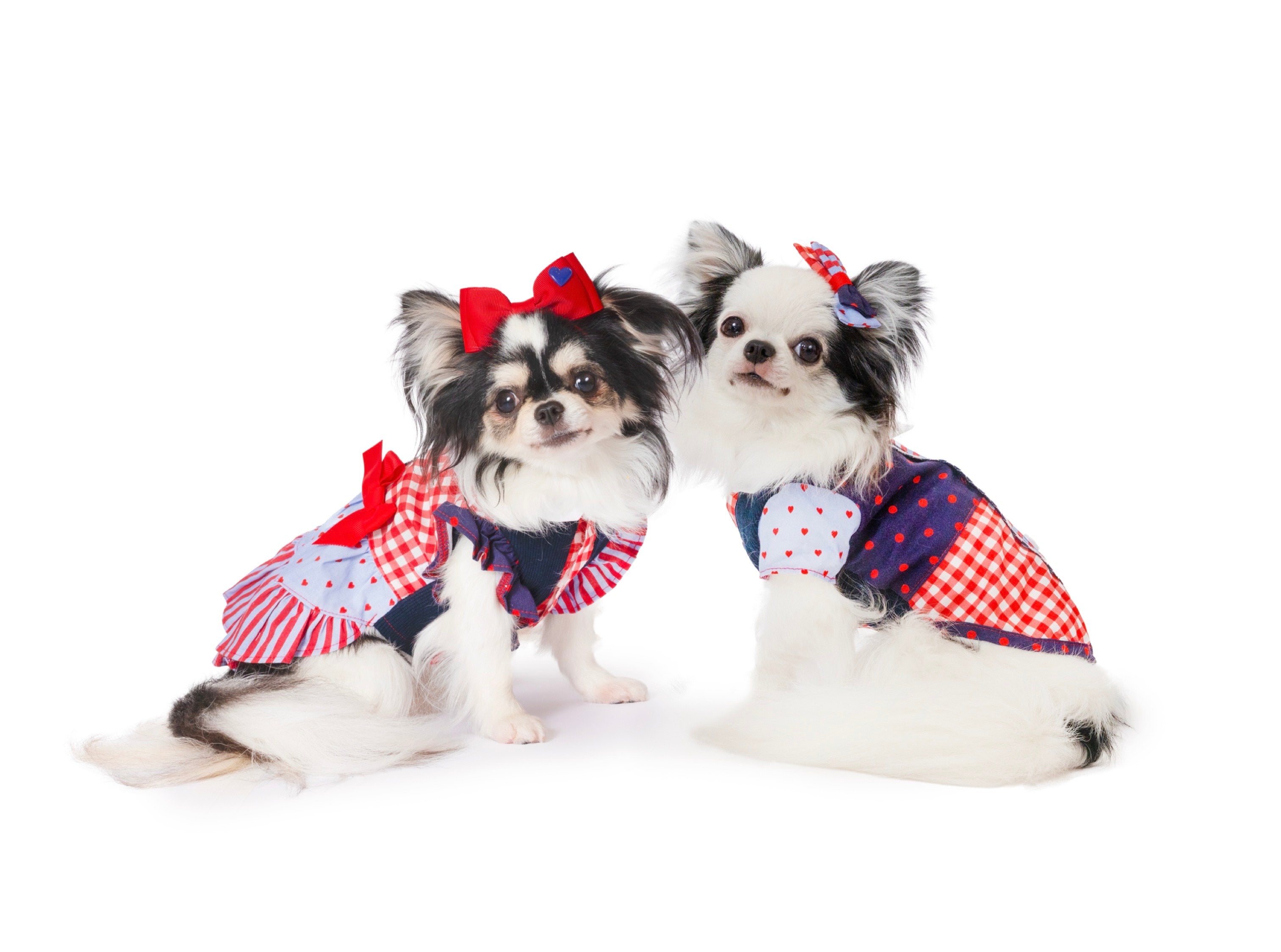 Annieワンピース – Candy Buppie Online