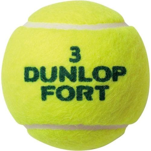ダンロップ FORT-2P フォート 硬式テニスボール 2球入 1缶 DUNLOP