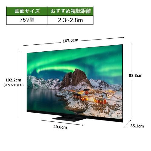 レグザ 液晶テレビ 75インチ タイムシフトマシン4K ブラック 75Z970R