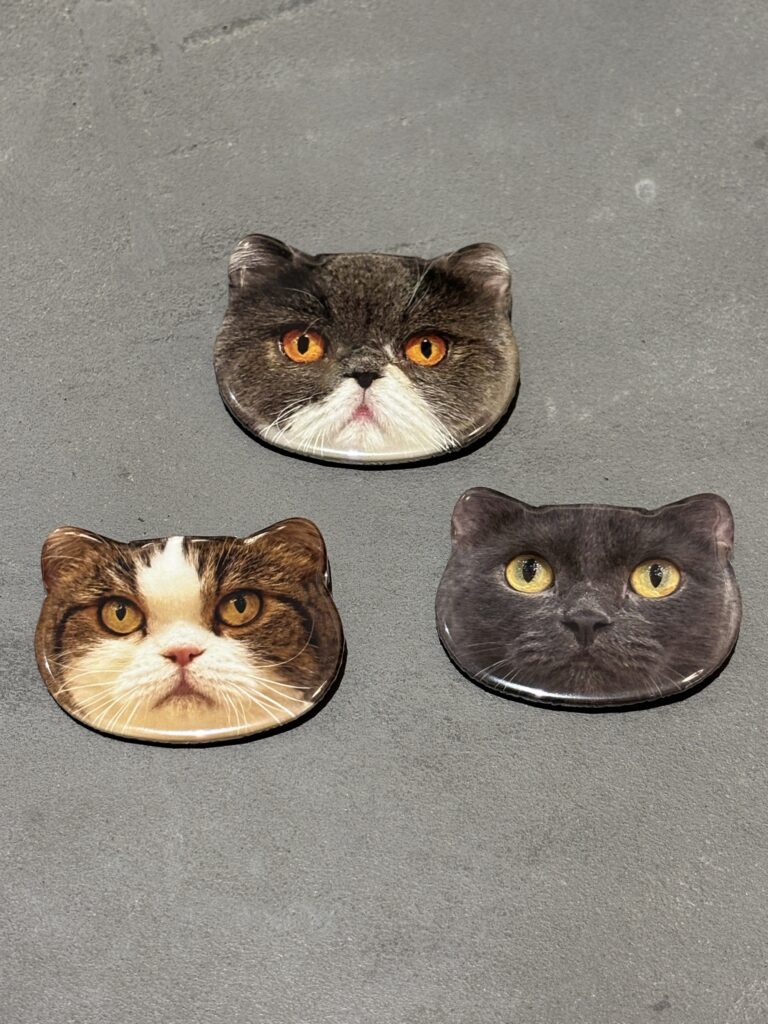 新商品発売のお知らせ | お知らせ/メディア掲載情報