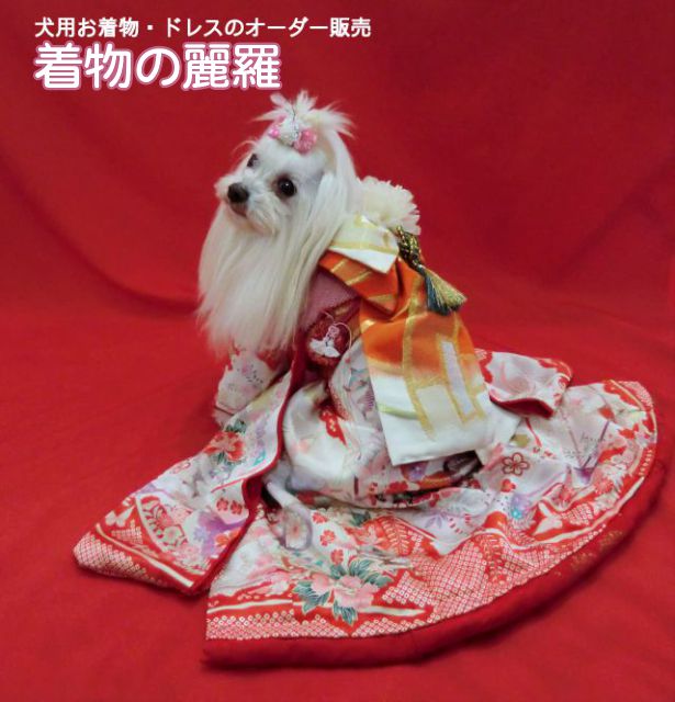 即納✨犬の着物✨犬用本格振袖着物 XS 赤 正絹 一点物 即納✨犬の着物