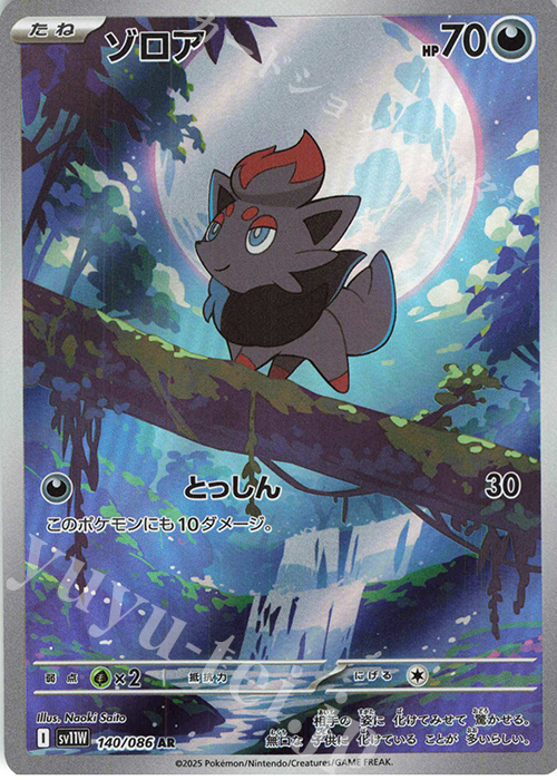 AR ゾロア 販売 | [SV11W] 拡張パック ホワイトフレア | ポケモン
