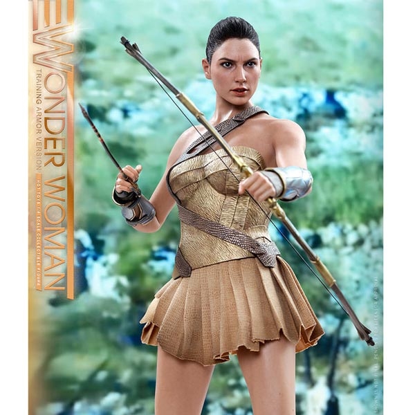Monkey Depot - Boxed Figure: Hot Toys Wonder Woman Training Armor