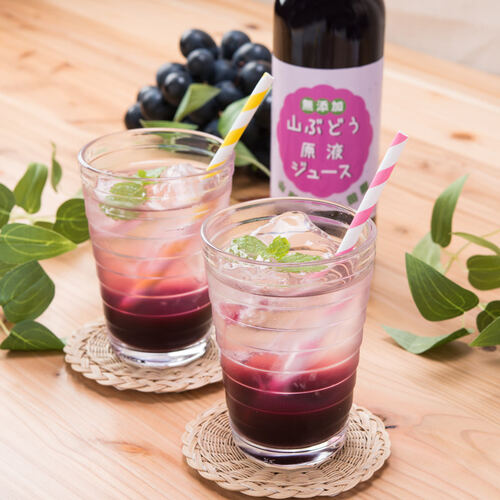 M・Gコーポレーション 山形の森と田園 山葡萄100% 無添加 山ぶどう原液
