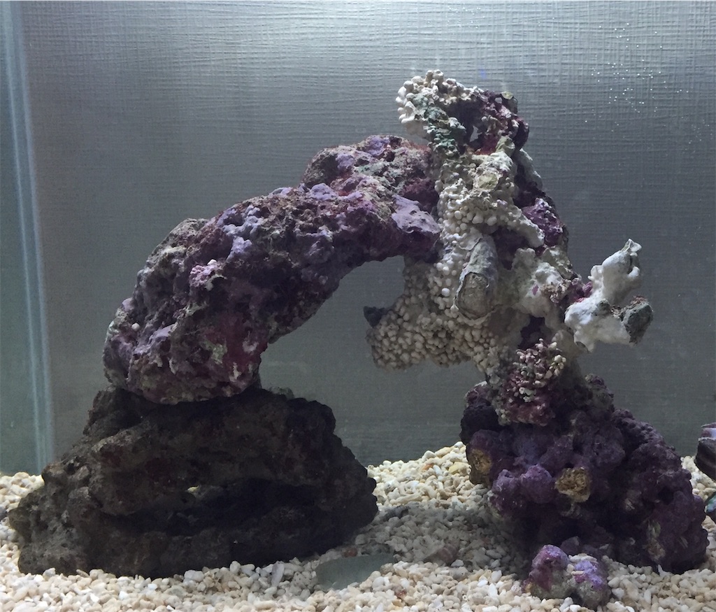 ライブロック 【公式通販】