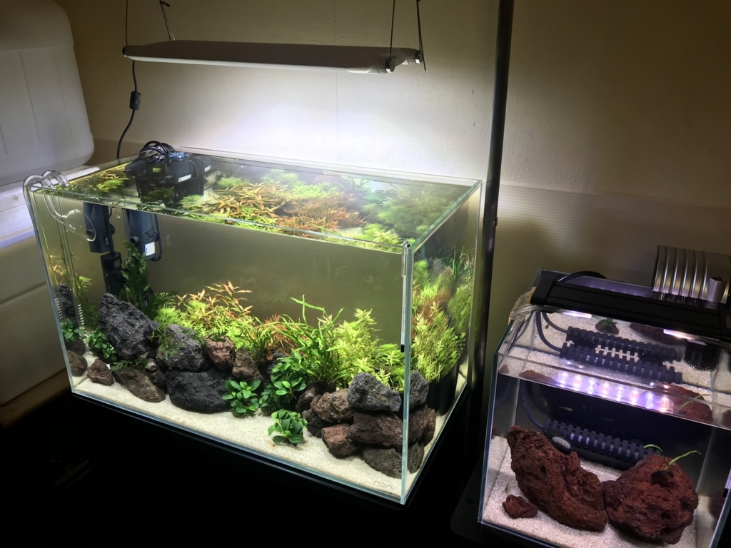 新品未使用ADA ADA ソーラーRGB SOLOR RGB ソーラーRGB (水草育成用LED