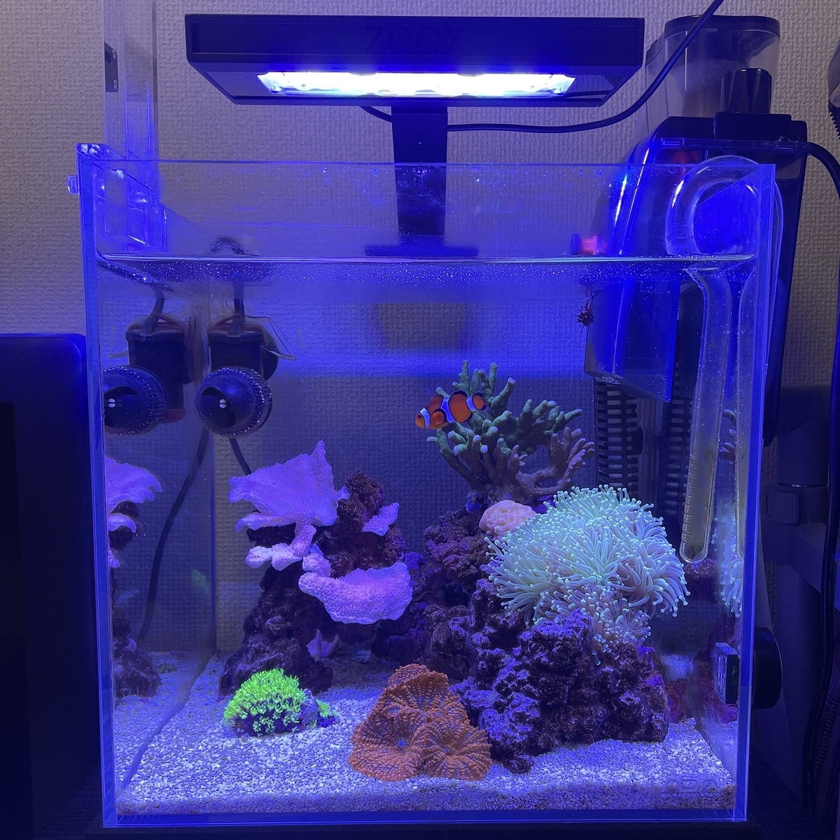 ライト・照明器具 ZOOX OPTIMUS Reef Nano2 LED照明｜ZOOX｜MMC企画