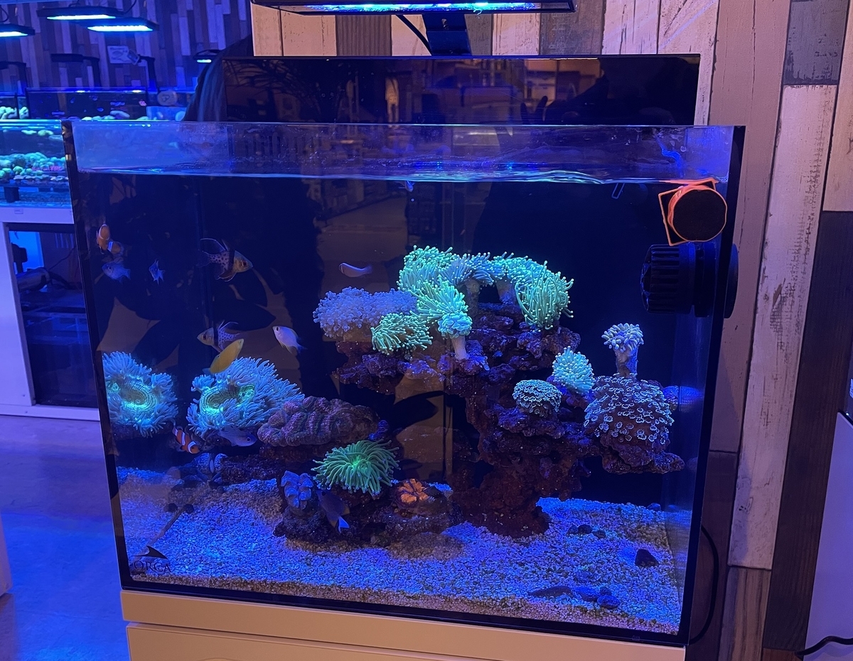 Optimus Reef Nano 2 ZOOX. リーフナノ2 【公式通販】