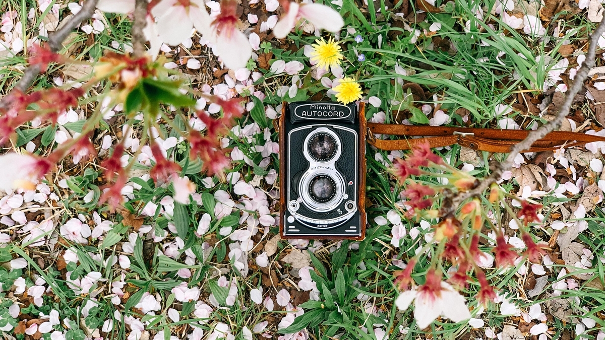 国産二眼レフ Minolta AUTOCORD のファーストロール（作例有り