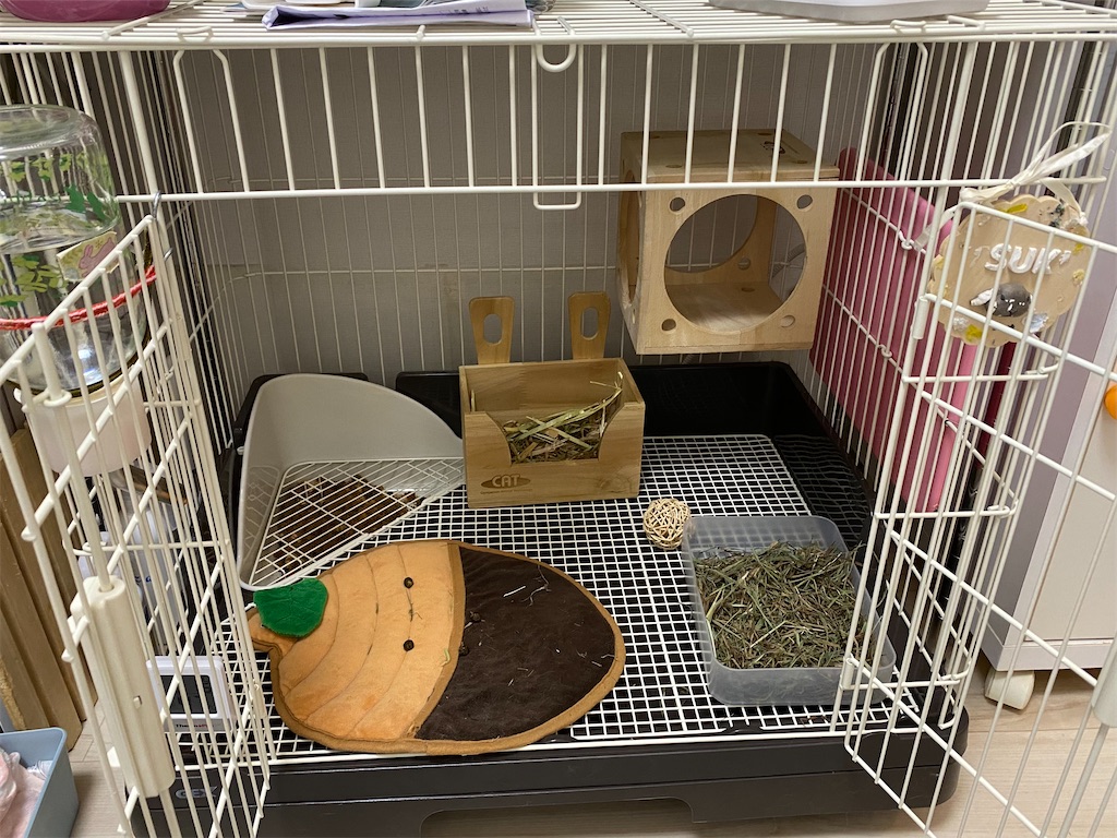 ジェックスのラビんぐスマートルームのレビュー - たれみみ日和