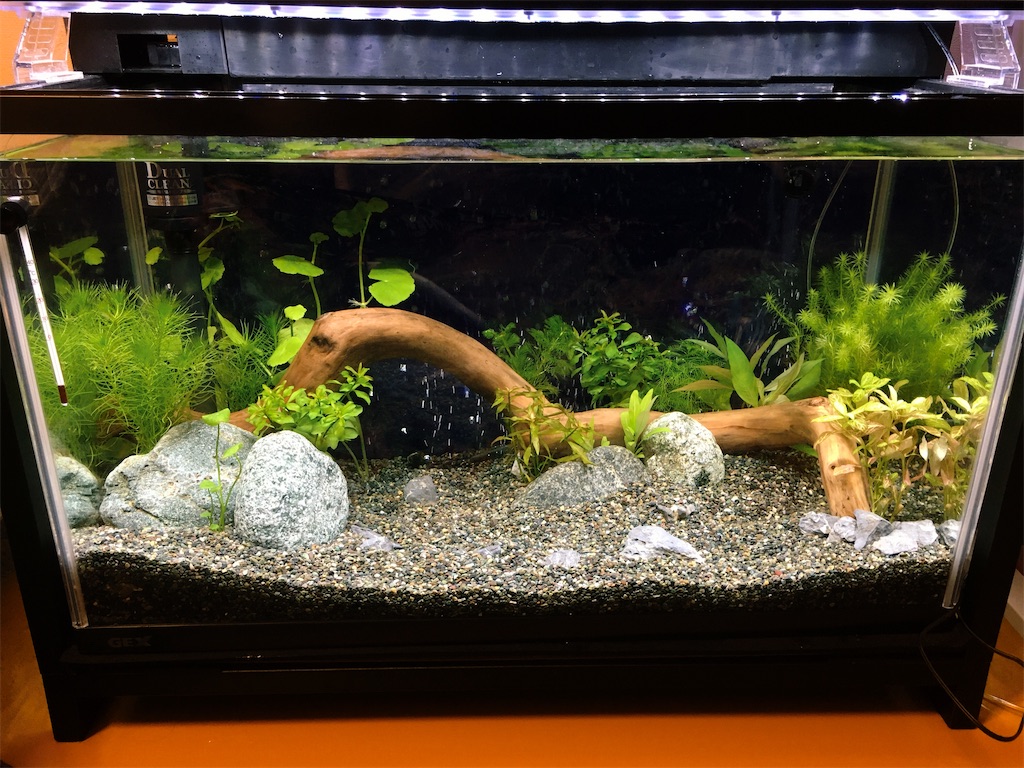 ADA 90センチ水槽 水槽台セット 引取り限定