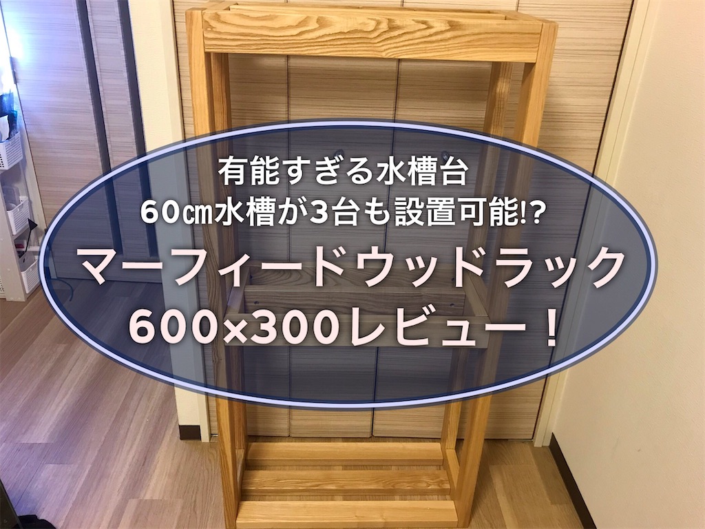 水槽3台設置可能！おすすめ水槽台マーフィードウッドラック600×300