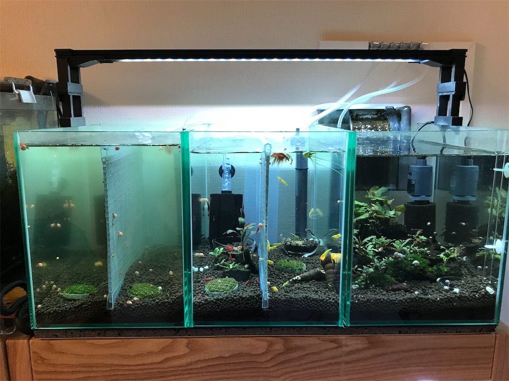 コスパ◎リモコン付水槽照明『ゼンスイマルチカラーLED600』レビュー