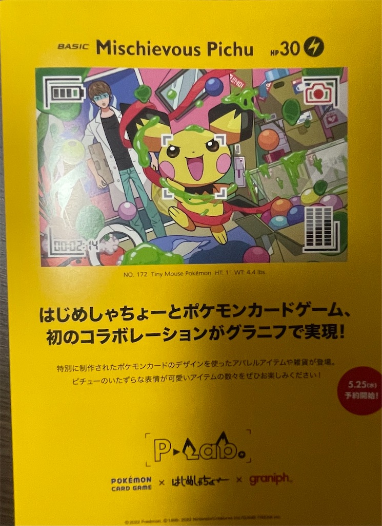 いたずら好きのピチュー プロモ #214 psa10 はじめしゃちょー PSA10