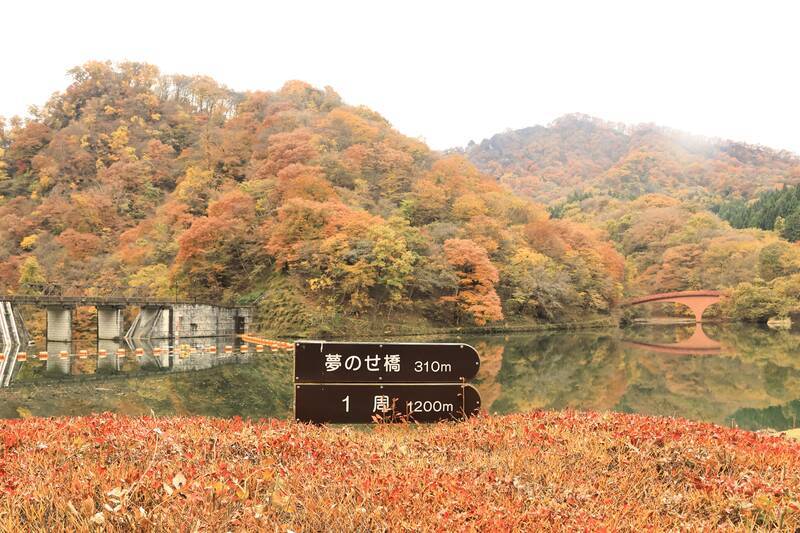 F10号です。碓氷峠で発見した、紅葉。特注額です。 F10号です。碓氷峠