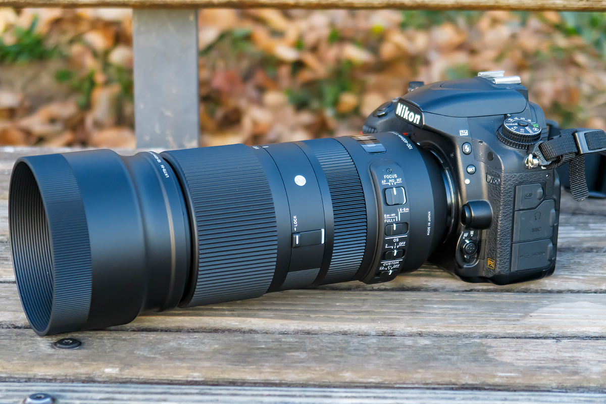 SIGMA 100-400mm F5-6.3 DG OS HSM | Contemporary テストショット