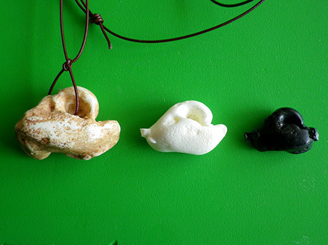 耳の骨のなぞ - 戸隠地質化石博物館の日記