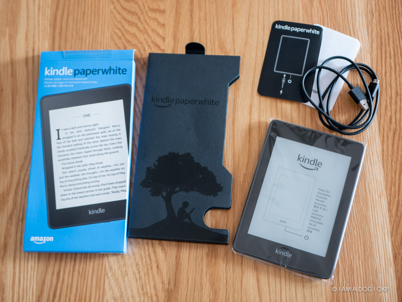 Kindle Paperwhite (第10世代) 青 Kindle Paperwhite (第10世代