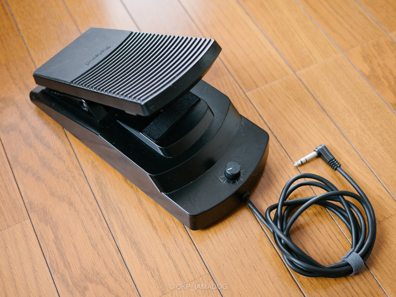 ローランド ROLAND ボス BOSS EV-30 Amazon.com: Boss EV-30 Dual