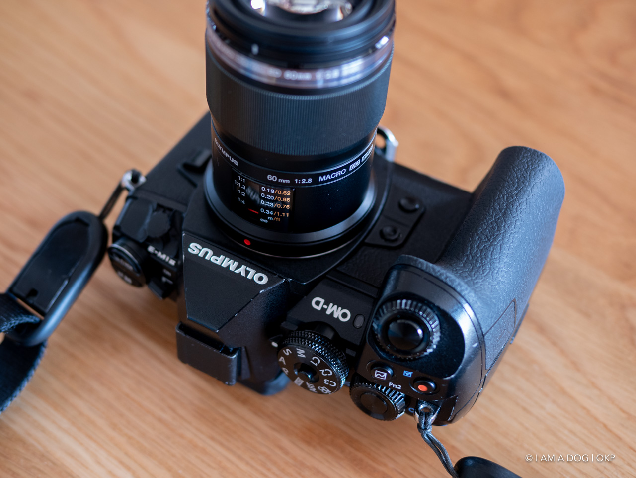 標準マクロから中望遠マクロへ：M.ZUIKO DIGITAL ED 60mm F2.8 Macroが