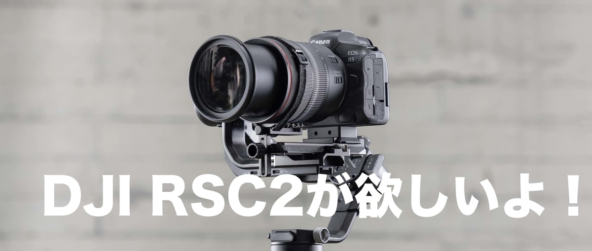 2021年版ジンバル！DJI RSC2が欲しい！【SONY α7Sⅲ用】 - 『すぎっち