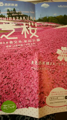 11 秩父市！あの花聖地巡礼と芝桜 - ありんご夫婦旅行